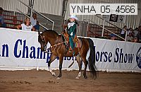 ynha_05_4566 thumbnail