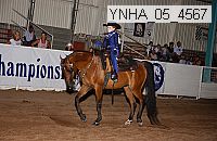 ynha_05_4567 thumbnail