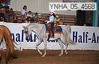 ynha_05_4568 thumbnail