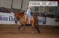 ynha_05_4570 thumbnail