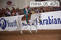 ynha_05_4575 thumbnail