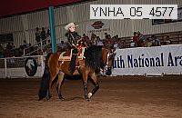 ynha_05_4577 thumbnail