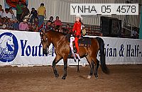ynha_05_4578 thumbnail