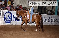 ynha_05_4580 thumbnail