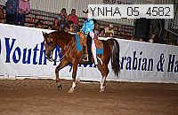 ynha_05_4582 thumbnail