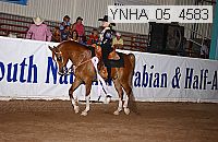 ynha_05_4583 thumbnail
