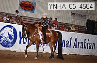 ynha_05_4584 thumbnail