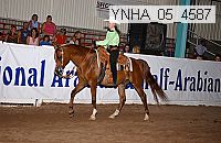 ynha_05_4587 thumbnail