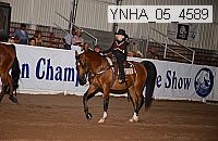 ynha_05_4589 thumbnail