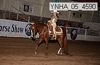 ynha_05_4590 thumbnail