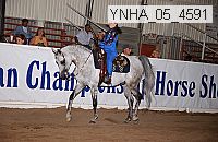 ynha_05_4591 thumbnail