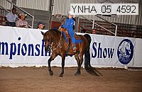 ynha_05_4592 thumbnail