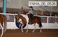ynha_05_0526 thumbnail
