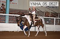 ynha_05_0527 thumbnail