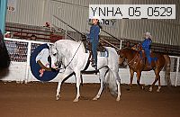 ynha_05_0529 thumbnail