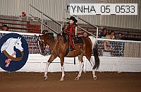 ynha_05_0533 thumbnail