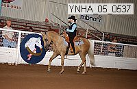 ynha_05_0537 thumbnail