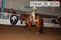 ynha_05_0539 thumbnail