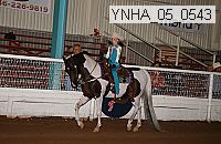ynha_05_0543 thumbnail