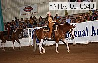 ynha_05_0548 thumbnail