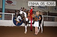 ynha_05_5265 thumbnail