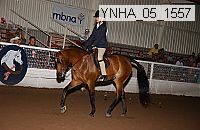 ynha_05_1557 thumbnail