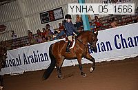 ynha_05_1566 thumbnail