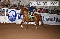ynha_05_1585 thumbnail