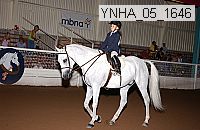 ynha_05_1646 thumbnail