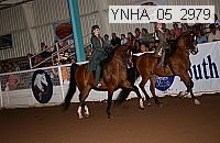 ynha_05_2979 thumbnail