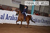 ynha_05_4522 thumbnail