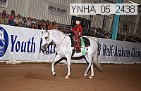 ynha_05_2438 thumbnail