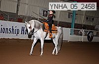ynha_05_2458 thumbnail