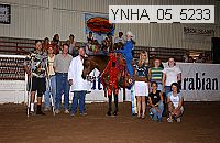 ynha_05_5233 thumbnail