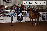 ynha_05_3457 thumbnail
