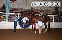 ynha_05_5128 thumbnail