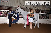ynha_05_5132 thumbnail