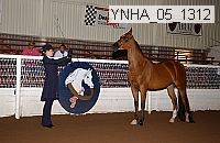 ynha_05_1312 thumbnail