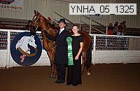 ynha_05_1325 thumbnail