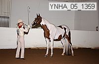 ynha_05_1359 thumbnail