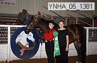 ynha_05_1381 thumbnail