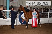 ynha_05_4831 thumbnail