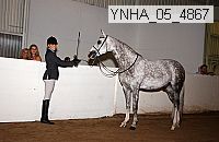 ynha_05_4868 thumbnail