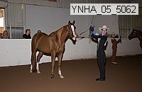 ynha_05_5062 thumbnail
