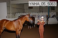 ynha_05_5063 thumbnail