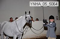 ynha_05_5064 thumbnail