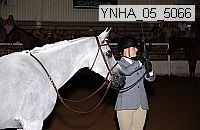 ynha_05_5066 thumbnail