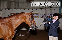 ynha_05_5068 thumbnail