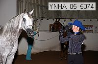 ynha_05_5074 thumbnail