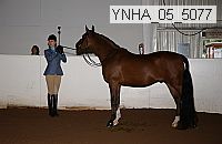 ynha_05_5077 thumbnail